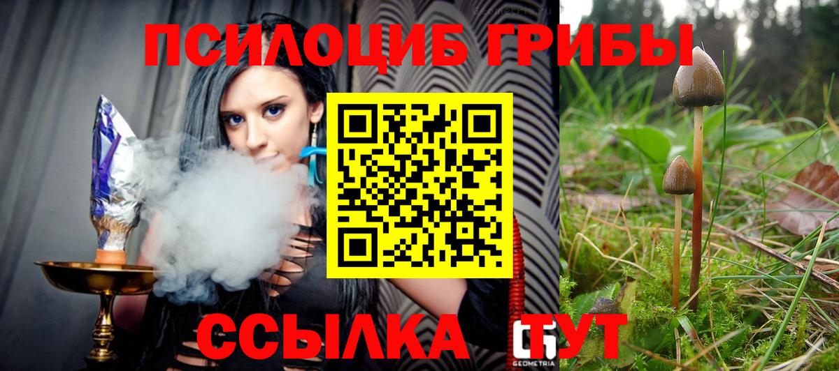 Гурьевск  Галлюциногенные грибы Cubensis  Вход с VPN 